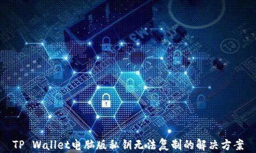 
TP Wallet电脑版私钥无法复制的解决方案