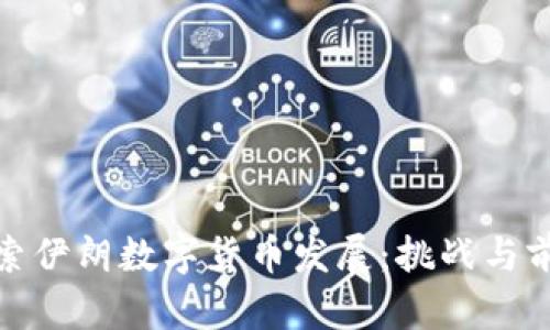 探索伊朗数字货币发展：挑战与前景