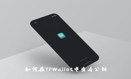 如何在TPWallet中查看公钥
