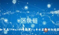如何在TPWallet中放置Pig币以