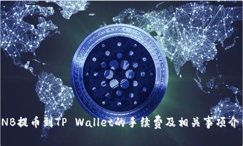 BNB提币到TP Wallet的手续费及相关事项介绍
