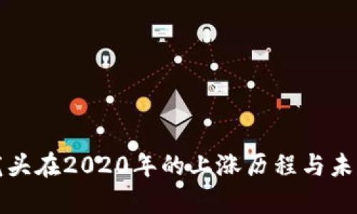数字货币龙头在2020年的上涨历程与未来趋势分析