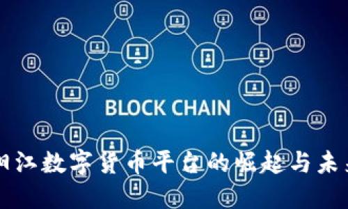 阳江数字货币平台的崛起与未来