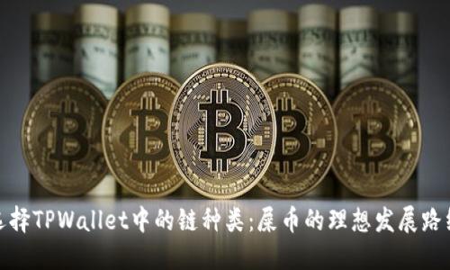 选择TPWallet中的链种类：屎币的理想发展路线