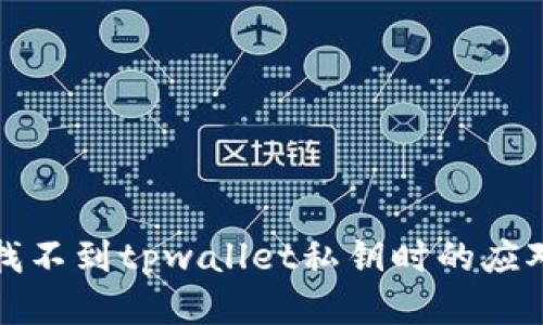 当你找不到tpwallet私钥时的应对措施
